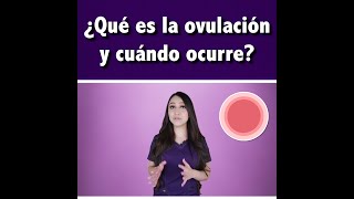 ¿Qué es la ovulación y cuándo ocurre l👩🏻‍⚕️Dra Pau Zúñiga CLIPS [upl. by Elazaro]