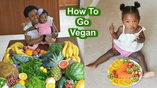 How to Go Vegan  Beginners Guide to Veganism [upl. by Nnaeerb]