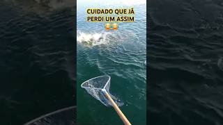 O Dourado é bruto e enjuado 😂🤪pescaria pescador fishing pescaesportiva shortviral engraçado [upl. by Yllus]