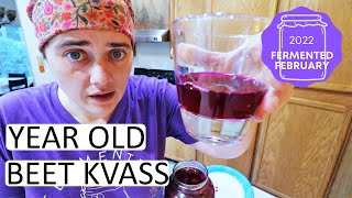 FERMENTED FEBRUARY Colab Fermenting Beet Kvass For the Absolute Beginner  Fermented Homestead [upl. by Wardle]