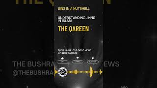 Jinns in Islam The Qareen Jinns  Jinns in a Nutshell [upl. by Anib]