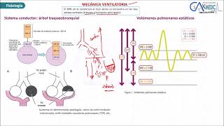 NEUMOLOGÍA PARTE 1 FISIOLOGÍAINSUFICIENCIA RESPIRATORIAASMA [upl. by Nenad556]