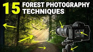 HOW TO PHOTOGRAPH FORESTS [upl. by Aicxela]