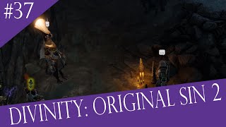 Trompdoy Rematch  Lets Play Divinity Original Sin II  Part 37 [upl. by Spitzer980]