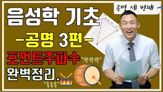 음성학기초 공명 제3강 포먼트성도의 공명주파수원리with Praat 발음조음 결국엔 공명입니다 [upl. by Bond84]