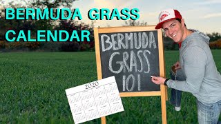 Bermudagrass Calendar  Bermuda Lawn Maintenance for Beginners [upl. by Hertzog]