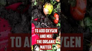 Top 5 Tips for Composting for Beginners [upl. by Stevenson]