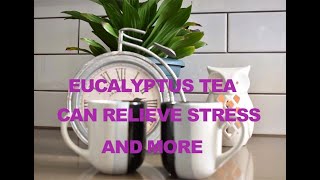 Eucalyptus Tea Can Relieve Stress And More [upl. by Aterg]