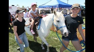 Essex Fun Festival [upl. by Edgerton]