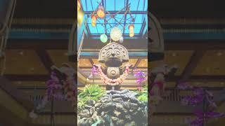 Polynesian Resort at Walt Disney World 🌴 relaxation calm disney [upl. by Kellyann567]