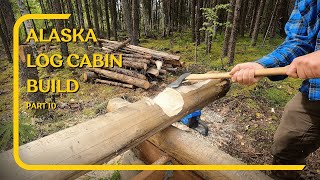 Stacking logs for my Off Grid Alaska Cabin in the woods Scribe Cut Stack Repeat [upl. by Ahsilav]