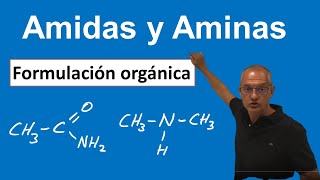 Aminas y amidas Formulación orgánica [upl. by Otreblada]