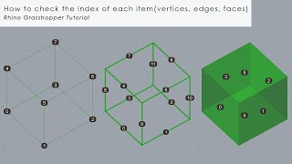 How to check the index of each itemvertices edges faces Rhino Grasshopper Tutorial [upl. by Apilef]