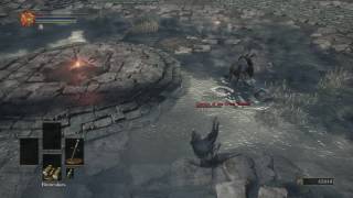 Dark Souls 3  Eygon of Carim vs Cornyx of the Great Swamp [upl. by Eliza]