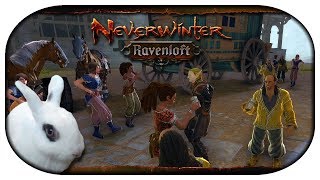 NEVERWINTER Ravenloft 🐇 01  Unwillkommene Gäste in Schloss Wyndrake [upl. by Niatsirt609]