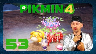 Pikmin 4  53  Höhle Ultimatives Testgelände  Teil 1 German  Lets Play [upl. by Leirvag791]