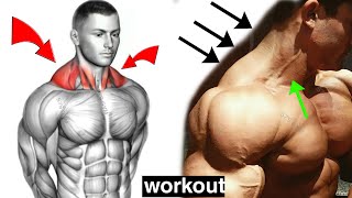 How to Build Your Trapezius workout [upl. by Samford611]