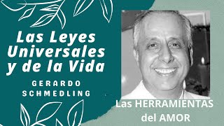 36  Las Siete HERRAMIENTAS del Amor  Gerardo Schmedling [upl. by Zerimar]