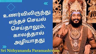 உணர்விலிருந்து எந்தச் செயல் செய்தாலும் காலத்தால் அழியாதது  Sri Nithyananda paramashivam [upl. by Onit832]