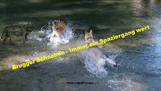 SP200906 Brugger Schachen  Immer ein Spaziergang wert [upl. by Nudd526]