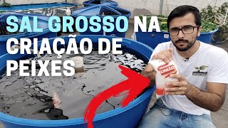 Como usar o sal grosso na criação de peixes Criação de peixes em caixa dágua Aula 7 [upl. by Ermanno725]