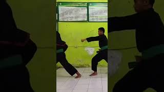 Senam Dasar Pagar NusaJurus Baku 1 Sikap Kepal Pinggang shorts silat kijangfighter [upl. by Yorgos]