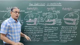 Jaw Suspension in Vertebrates [upl. by Nivlen]