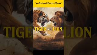 TigerLion✊কে বেশী শক্তিশালী PanoramaDocumentary shorts facts bangla animals [upl. by Sethrida]