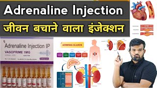 Adrenaline Injection  Medicine  Medicine Use  Emergency Medicine  Treatment  Disease  Doctor [upl. by Juni]