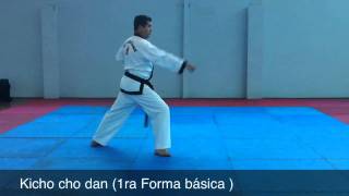 Kicho cho dan primera forma básica Tae Kwon Do [upl. by Ogirdor]