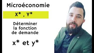 Microéconomie Ep  3  Partie  2  Le choix du Consommateur  Les effets  ET  ES  ER [upl. by Tonnie]