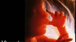 Prolife AntiAbortion Video Development of the Unborn Baby [upl. by Durtschi710]