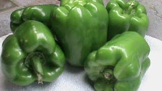 How to Freeze Green Peppers [upl. by Anai]