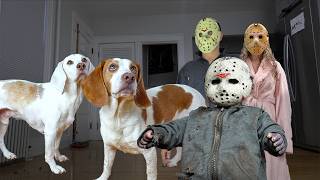 Dogs Battle Baby Jason amp The Voorhees Family [upl. by Hannala]