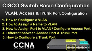 VLAN Access Port amp Trunk Port Configuration in CISCO Switch  Cisco Switch basic Configuration [upl. by Arej]