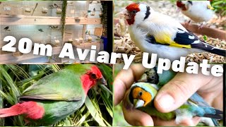 Bird Breeding Update  Finches  Aviary Birds  Aviary Tour  S2Ep11 birds bird nature pets [upl. by Polash]