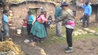 Natural Communities in the Andean Highlands [upl. by Anurb737]