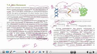 Gene Expression  Central Dogma  Teminism  Reverse Transcriptase  cDNA [upl. by Ebsen]