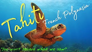 Why you need to go check Tahiti French Polynesia [upl. by Nylorak852]