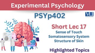 PSYp402 Short Lecture 17Sense of TouchSomatosensory systemSkinPsy402 Lec 17Final Term [upl. by Erasmus991]