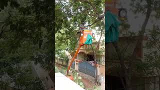 Tree Cutting in our Home ‎kalavathitipschannel 2 [upl. by Etnahsal]