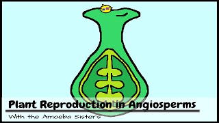 Plant Reproduction in Angiosperms [upl. by Wait]