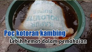 Cara mudah membuat poc dari kotoran kambing [upl. by Dippold]