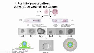 Engineering the Follicle Environment [upl. by Elleinet]