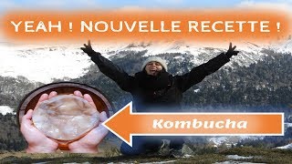 RECETTE KOMBUCHA MAISON [upl. by Francis]