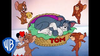 Tom amp Jerry em Português  Brasil  Jerry o Atrevido  WB Kids [upl. by Aisiram]