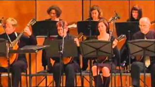 The Milwaukee Mandolin Orchestra Performs Mandolins in the Moonlight [upl. by Anib]