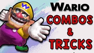 Wario Combos amp Tricks Smash Ultimate [upl. by Hpotsirhc143]