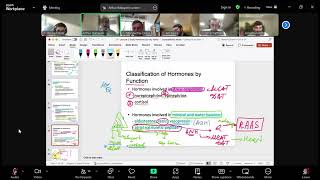 Endocrinology Lecture 2 part 1 [upl. by Eednarb66]