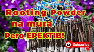 Rooting Powder na mura pero EPEKTIB [upl. by Mina]